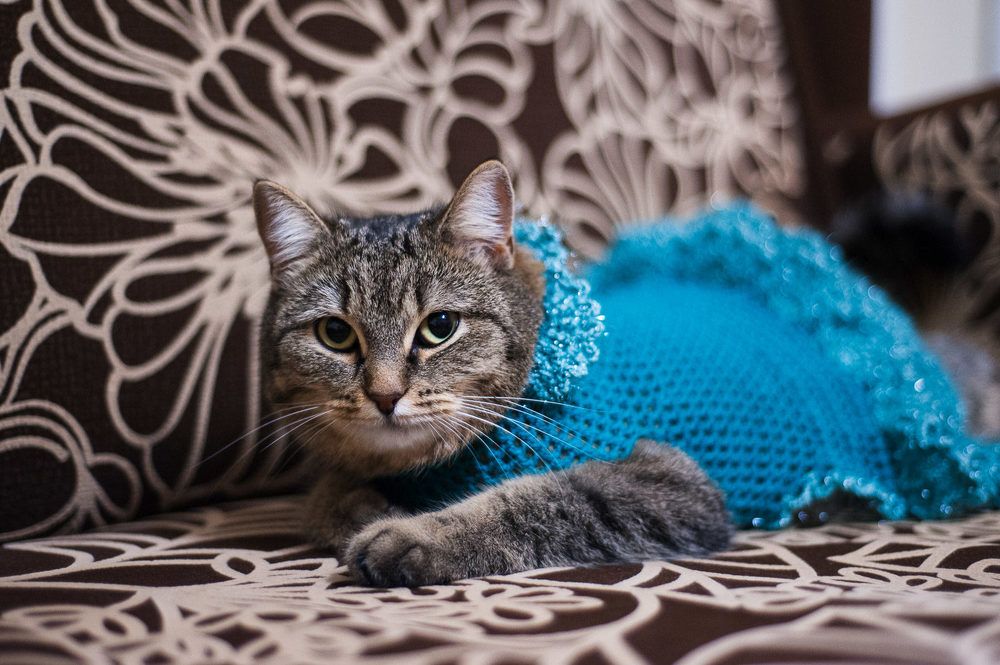 Photograph by Ирина Яук