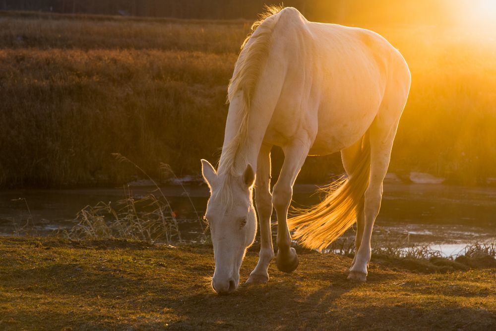 Photograph by Виктор Евстратов