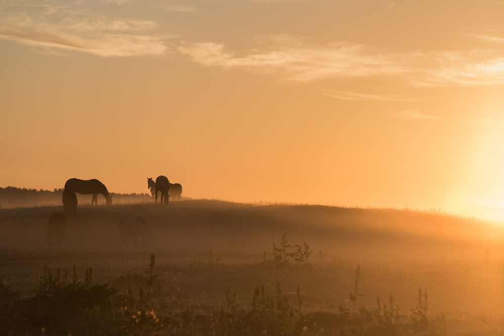 Photograph by Виктор Евстратов