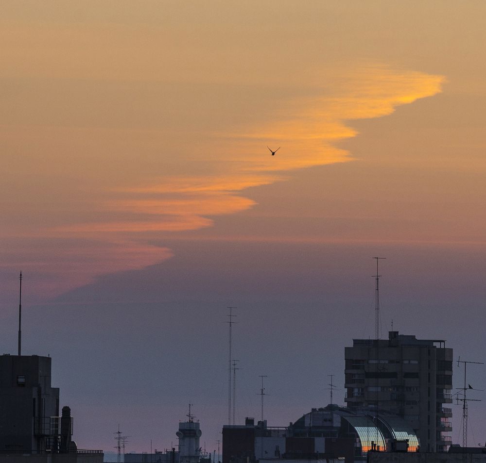 Photograph by Maximo Parpagnoli