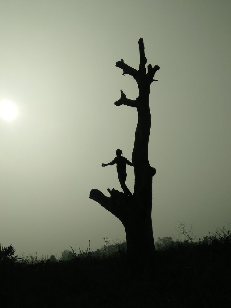 Photo #6125031