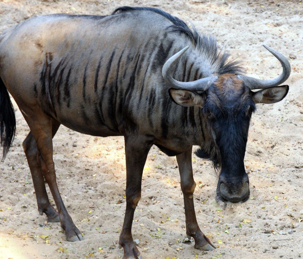 Photograph by NGỌC HẢI NGUYỄN