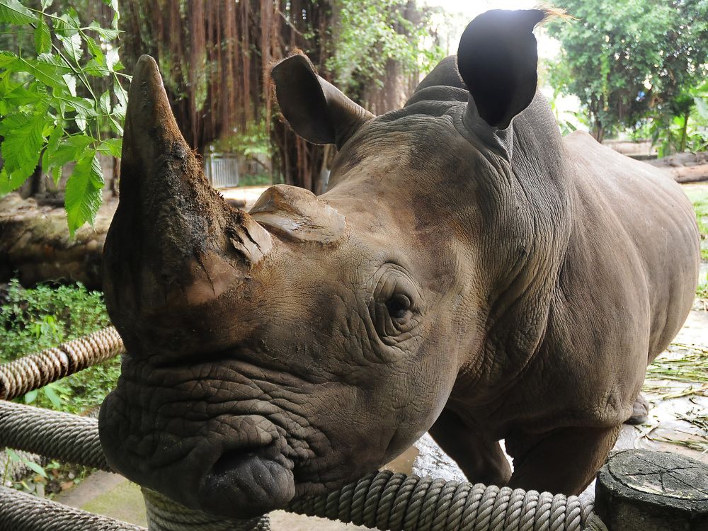 Photograph by NGỌC HẢI NGUYỄN