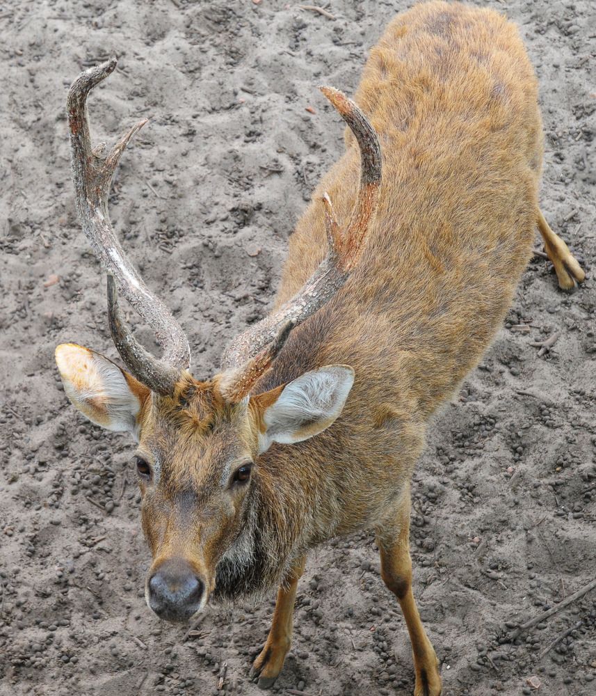 Photograph by NGỌC HẢI NGUYỄN