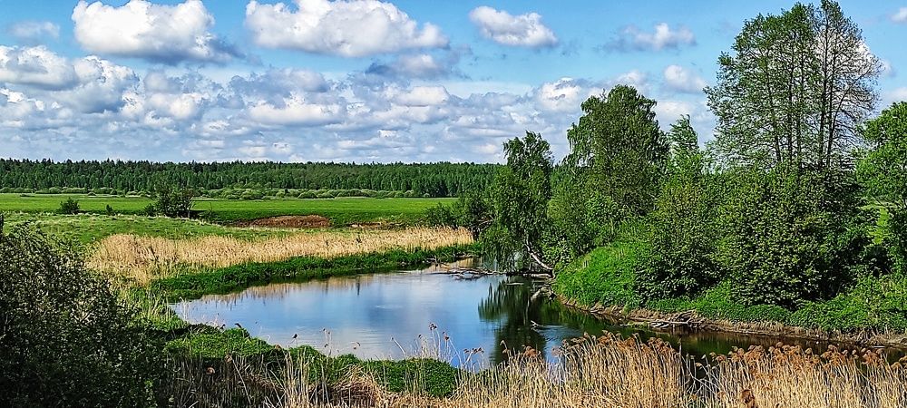 Photograph by vladimir