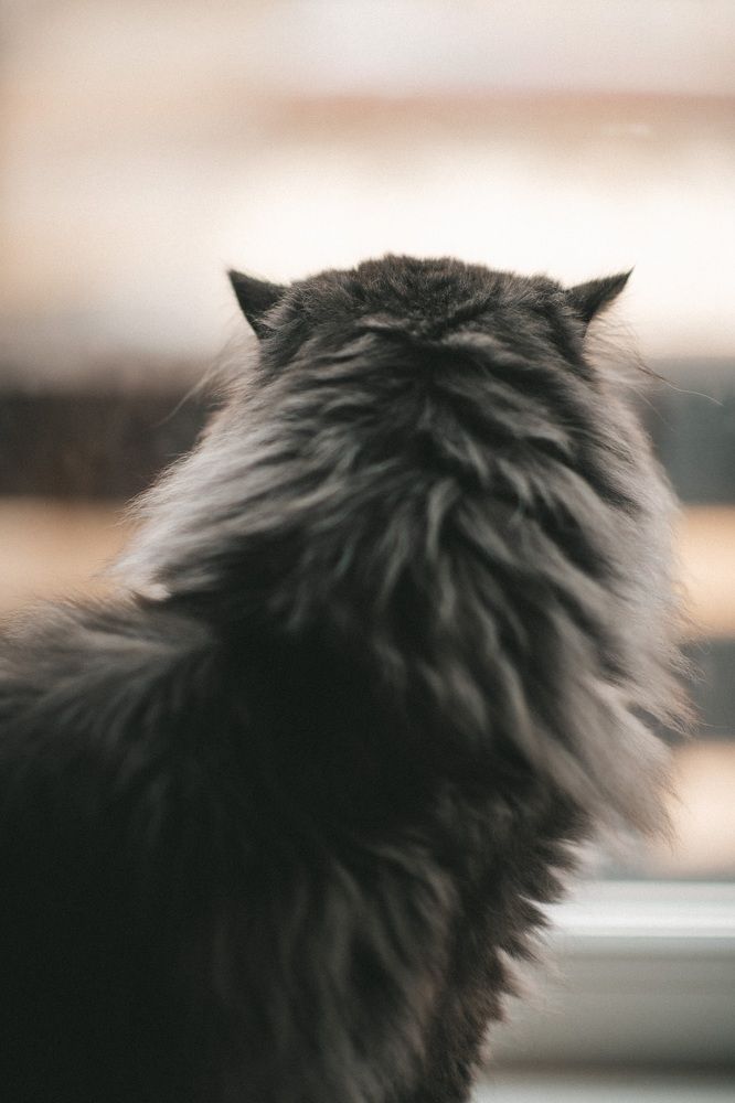 Photograph by Анна Белка