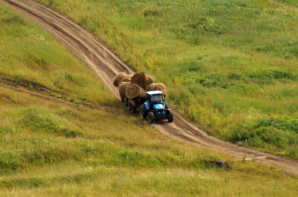 Photograph by Ирина Бондаренко