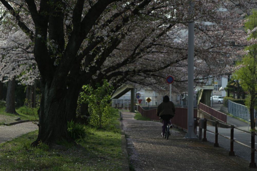 Photo #6125224