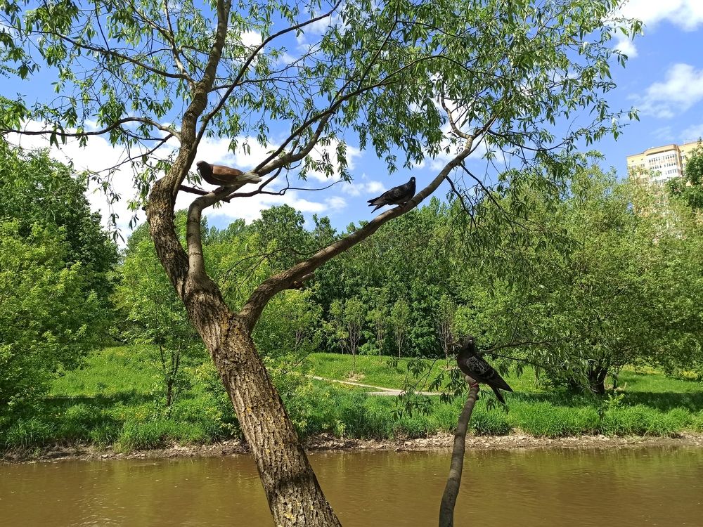 Photograph by Светлана Паренкова