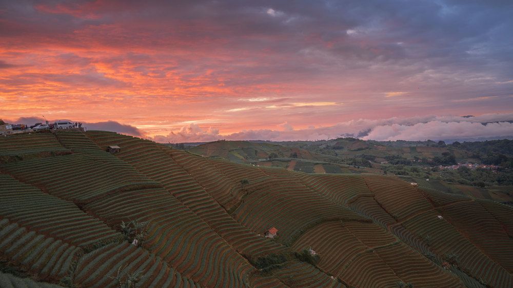 Photograph by Aysia Linggarwati