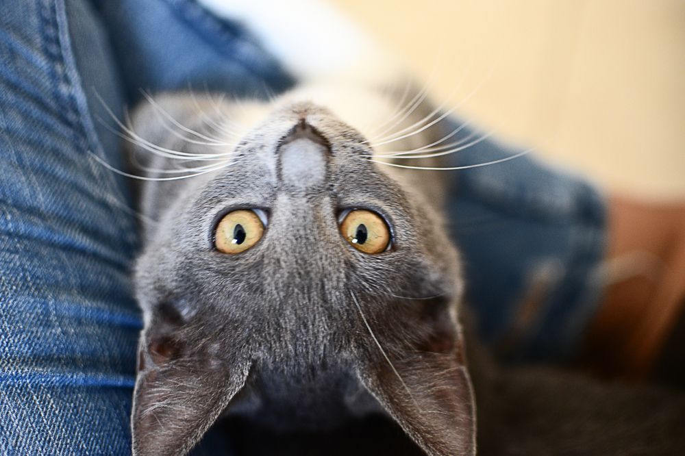 Photograph by Антон Шаркас