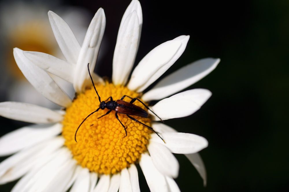 Photograph by Ирина Бондаренко