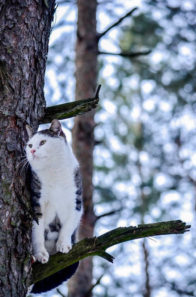 Photograph by игорь герасимовский