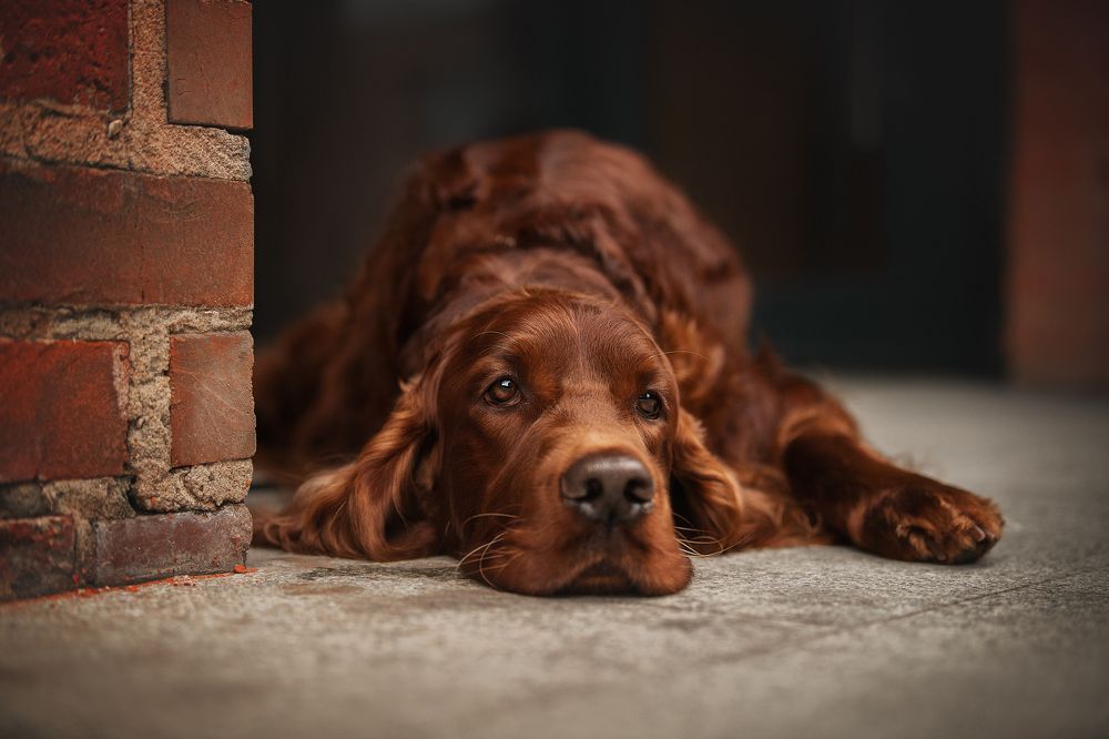 Photograph by Динара