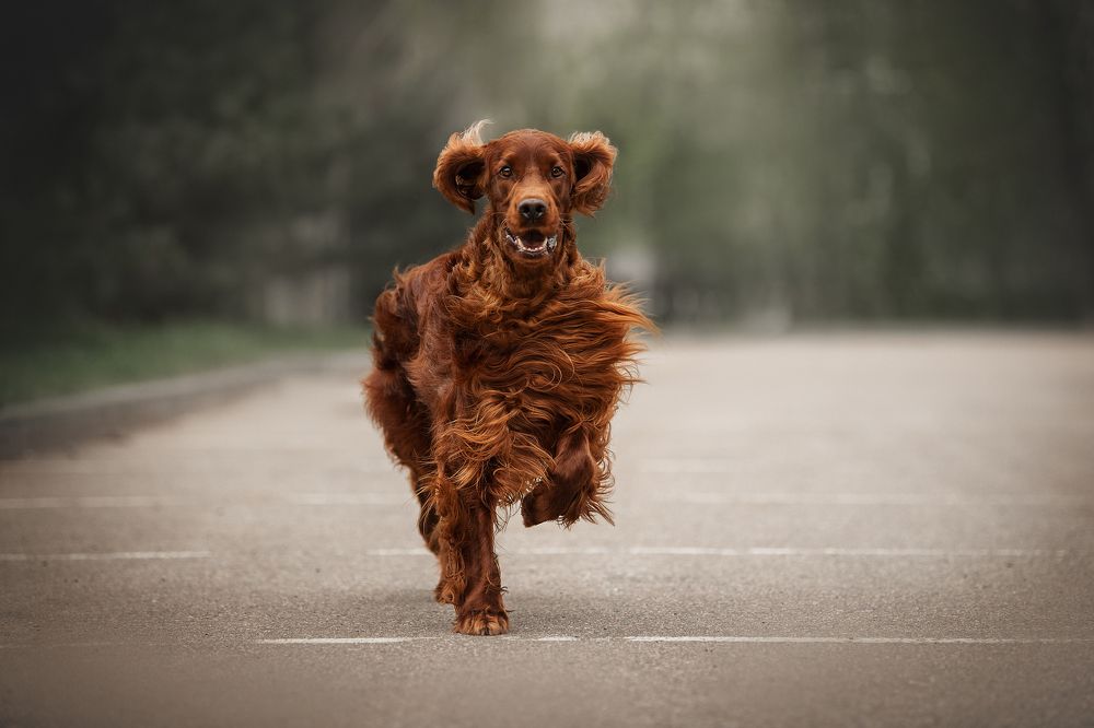 Photograph by Динара