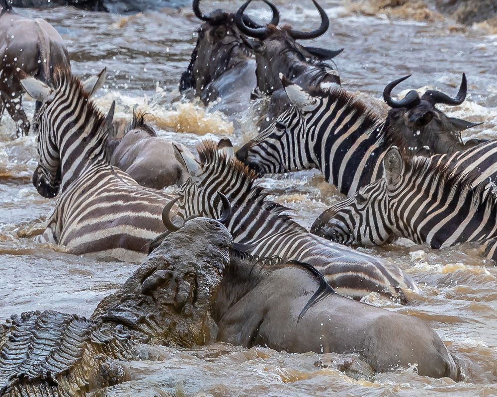 During the Great Migration