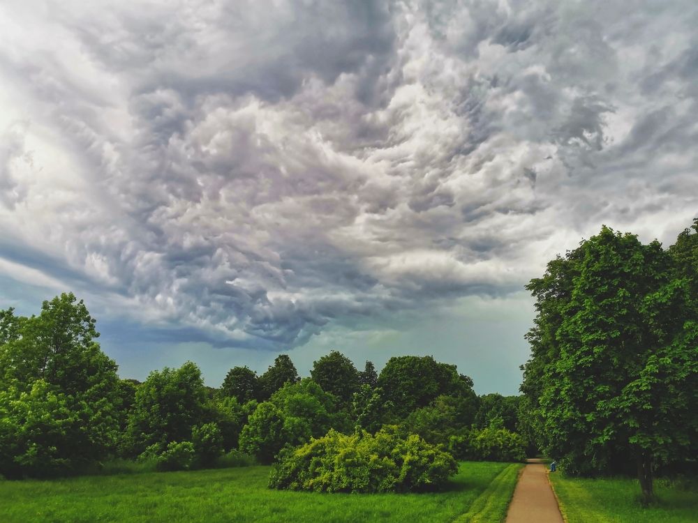 Photograph by Николай