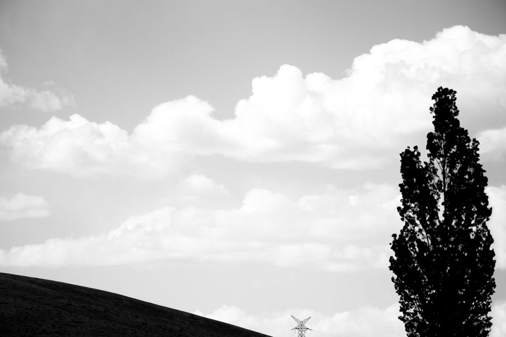 Photograph by Atefeh akbari