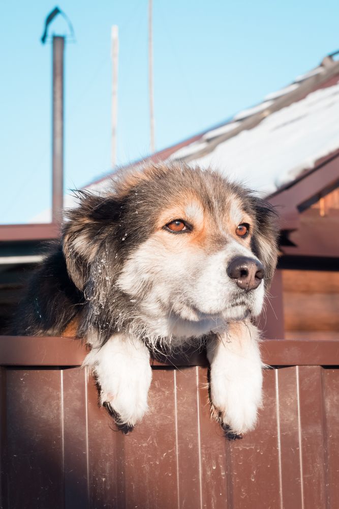 Photograph by Кадырова Анастасия