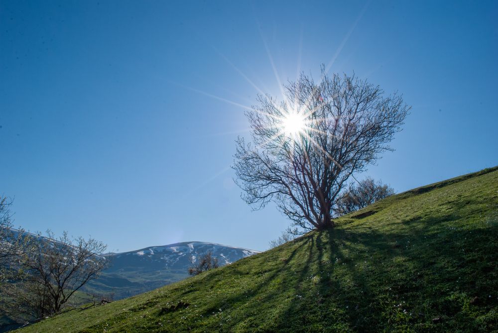 Photograph by Jusuf Suplja