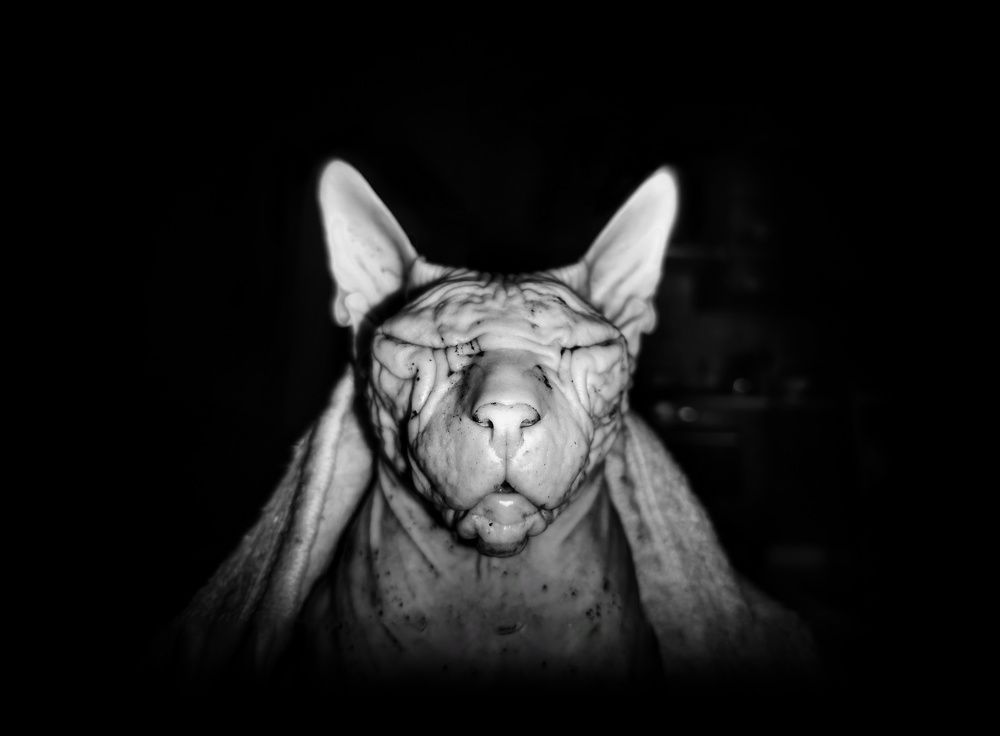 Photograph by Николай