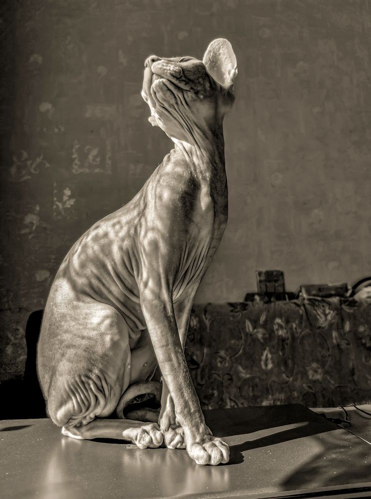 Photograph by Николай