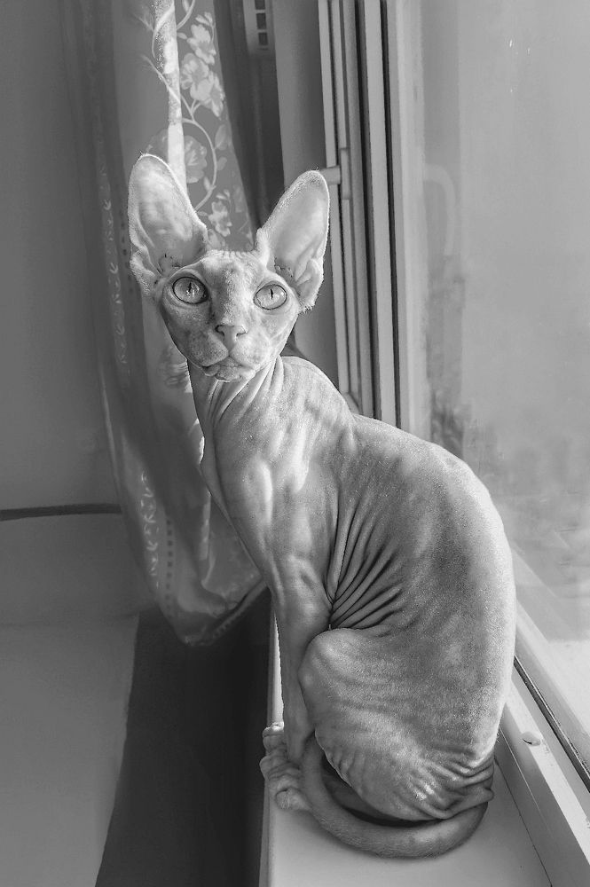 Photograph by Николай