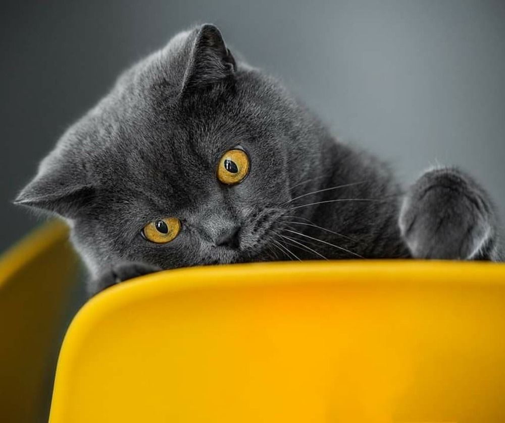 Photograph by Aljona Tsausova