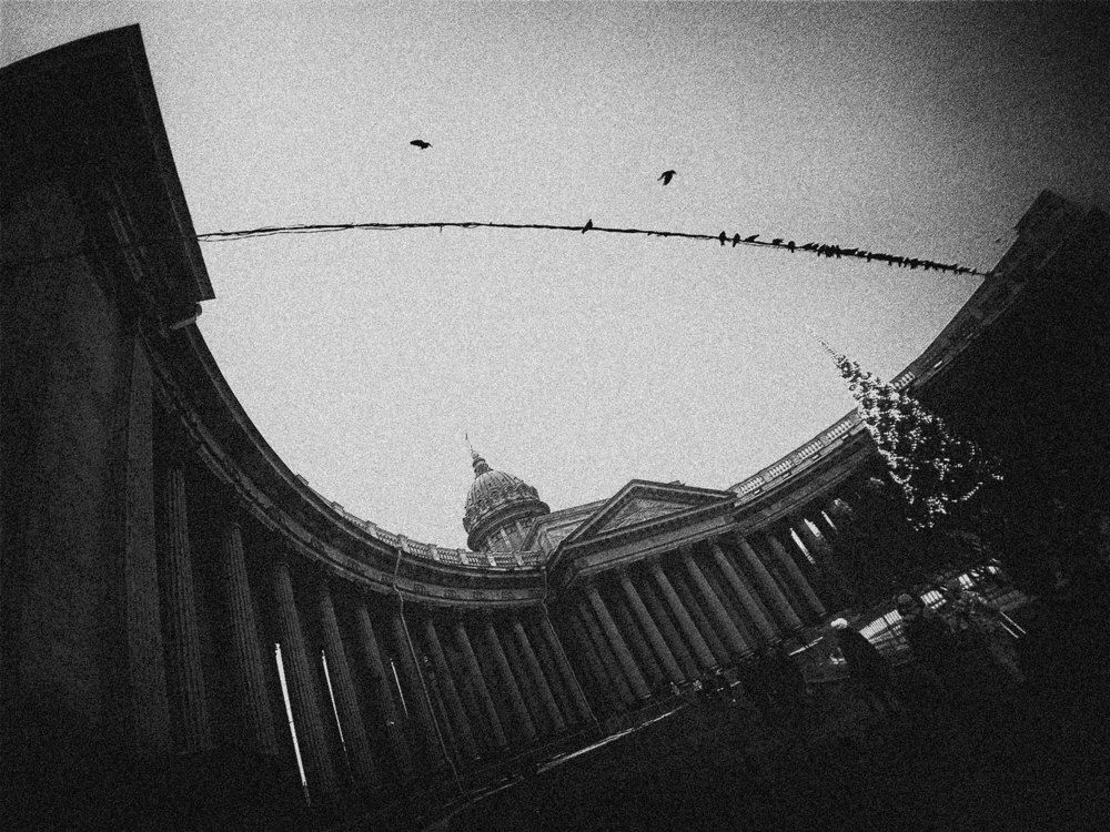 Фотография автора Александр Далла