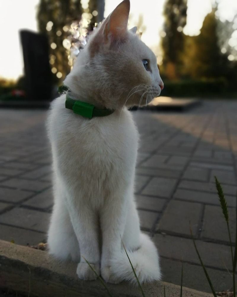 Photograph by Ольга Мокрова