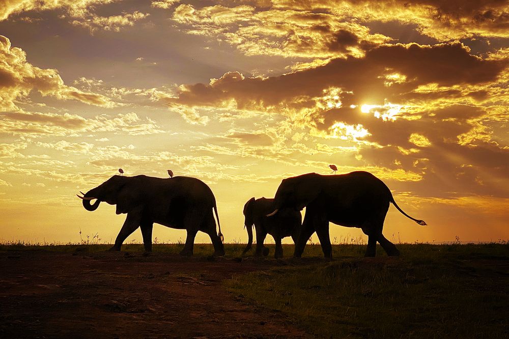 Photograph by Ирина Худзинская