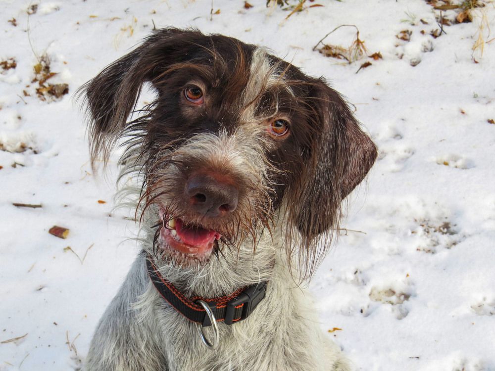 Photograph by Нина Будникова