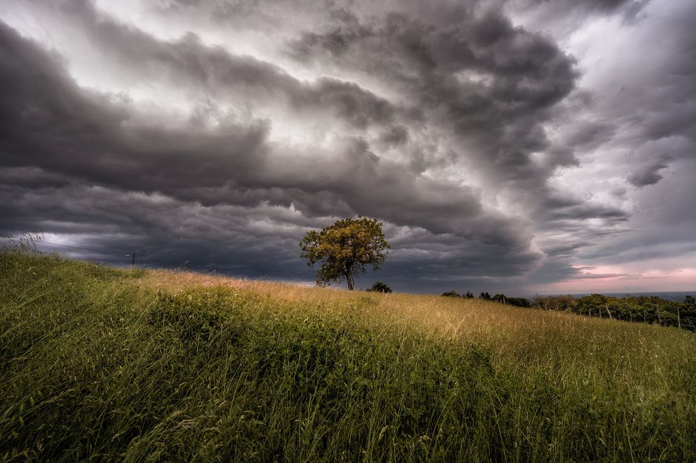 Photograph by Antonio Pedroni