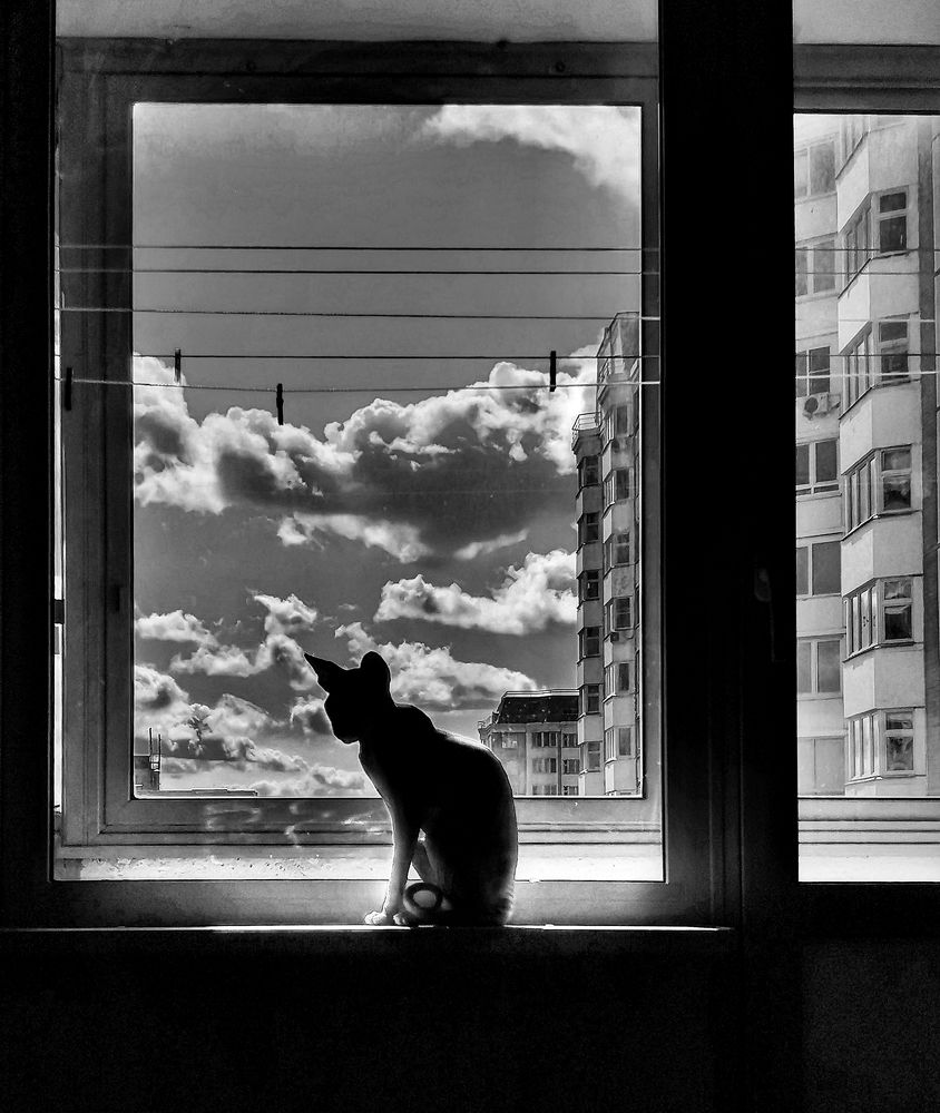 ми-соль-ми-соль