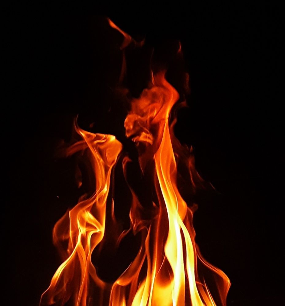 Photo #6125667