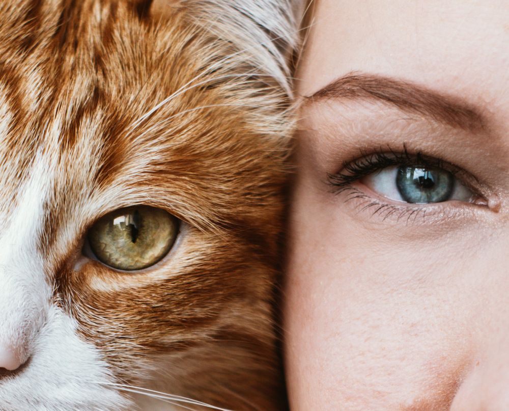 Я и мой кот Принц