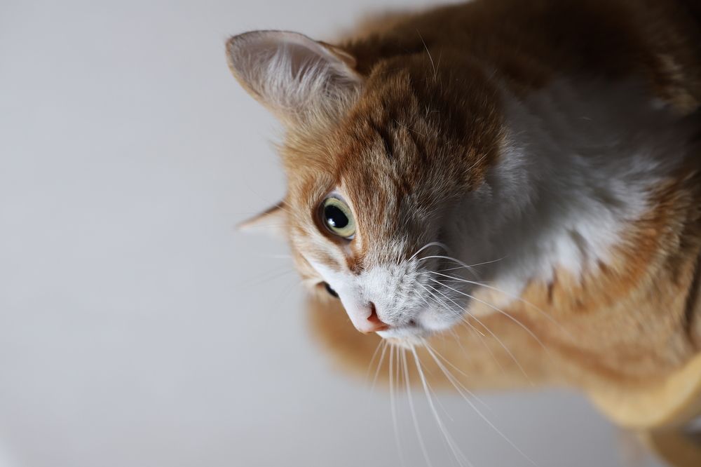 Photograph by Светлана