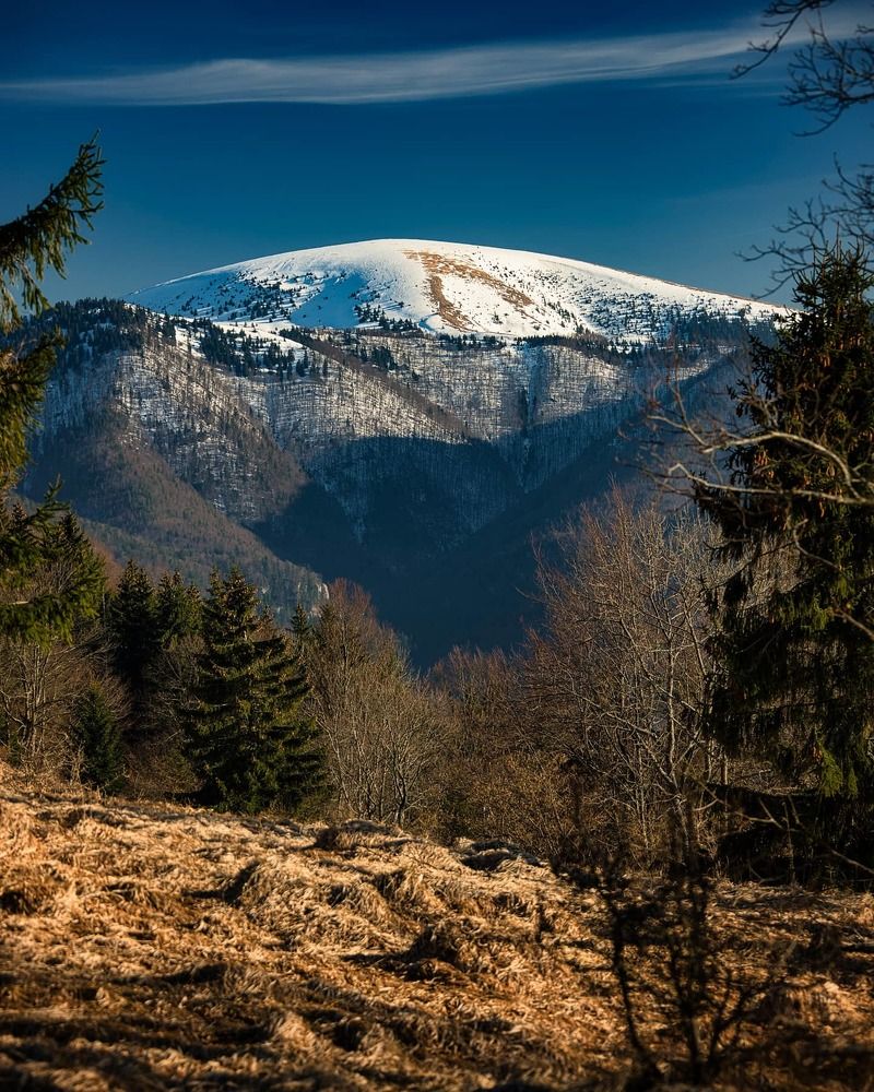 Photograph by Roman Adamják