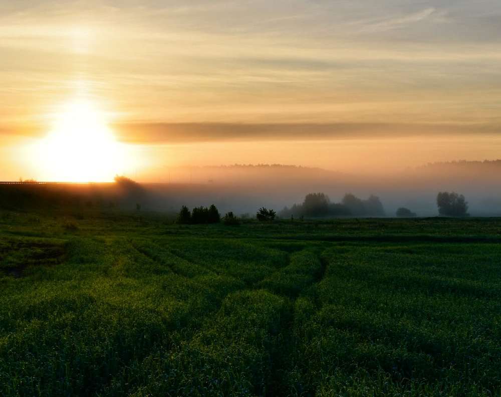 Photograph by Михаил Бородкин