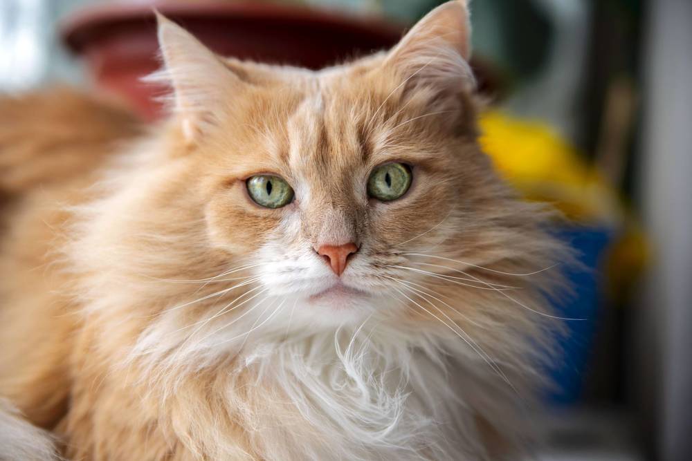 Photograph by Ксения Рябухина