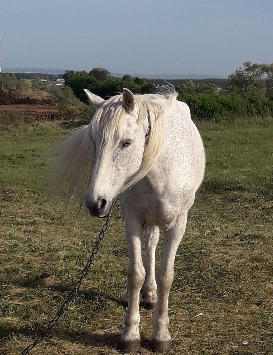 Photo #6125753