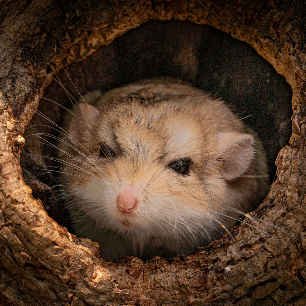 Photograph by Aysia Linggarwati