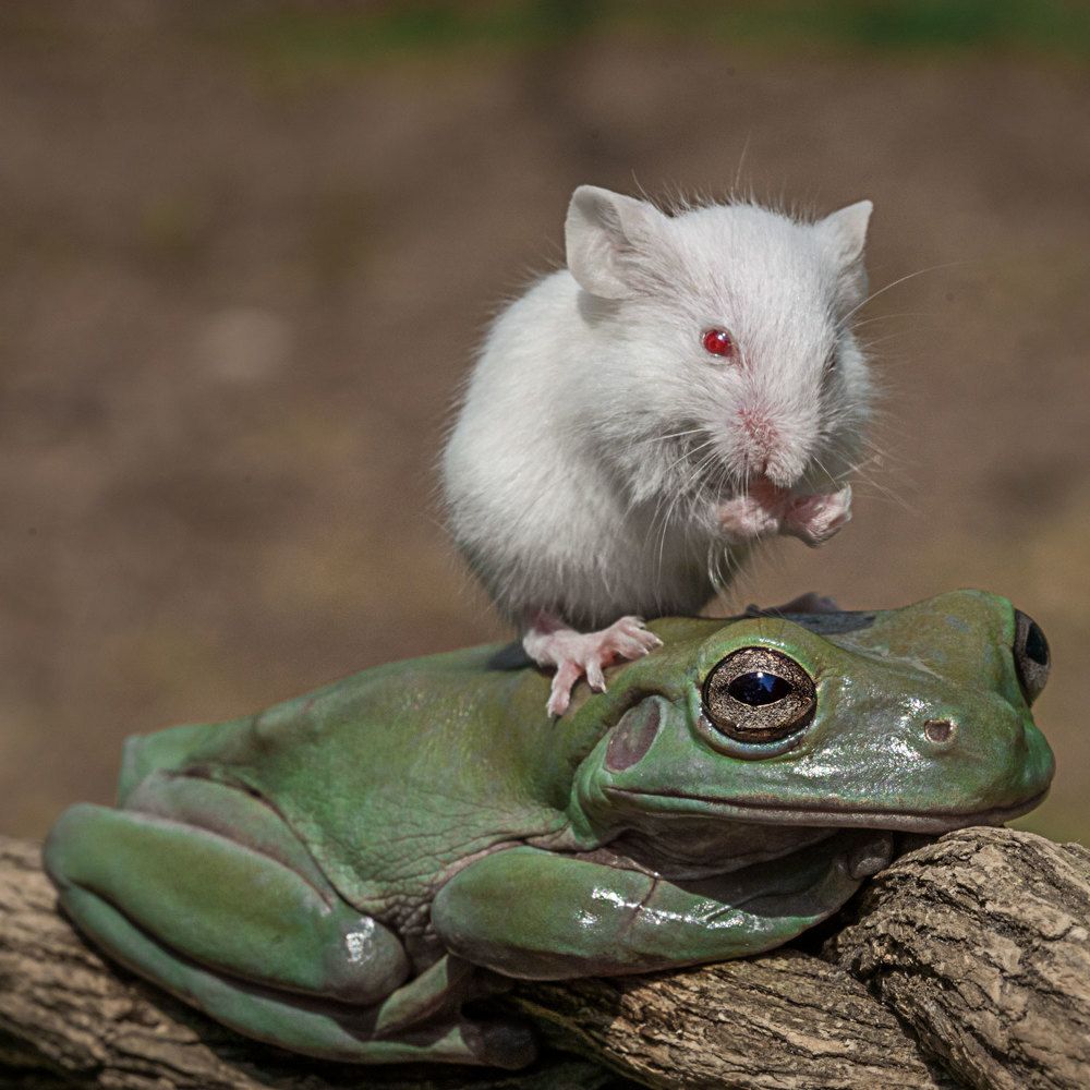 Photograph by Aysia Linggarwati