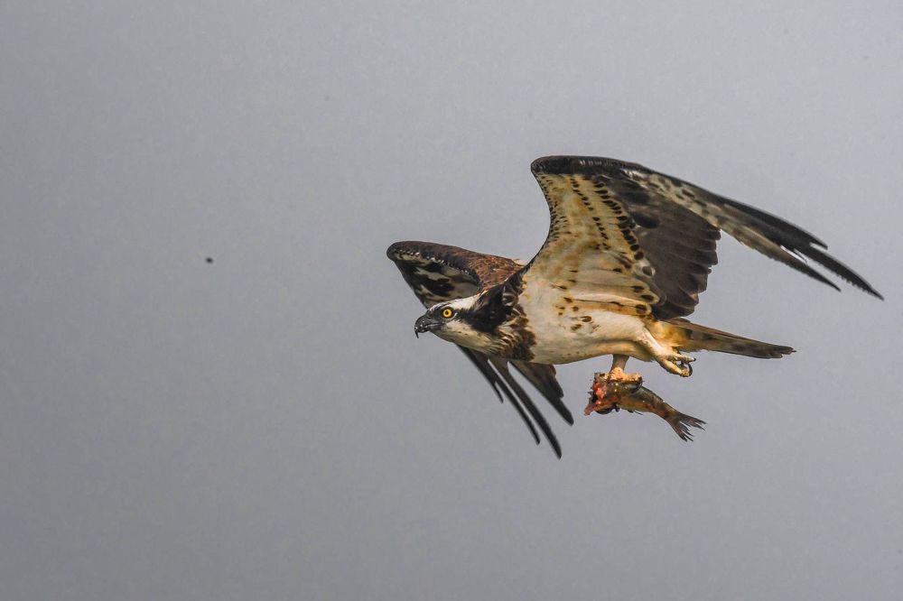 Photograph by DEBJYOTI MONDAL