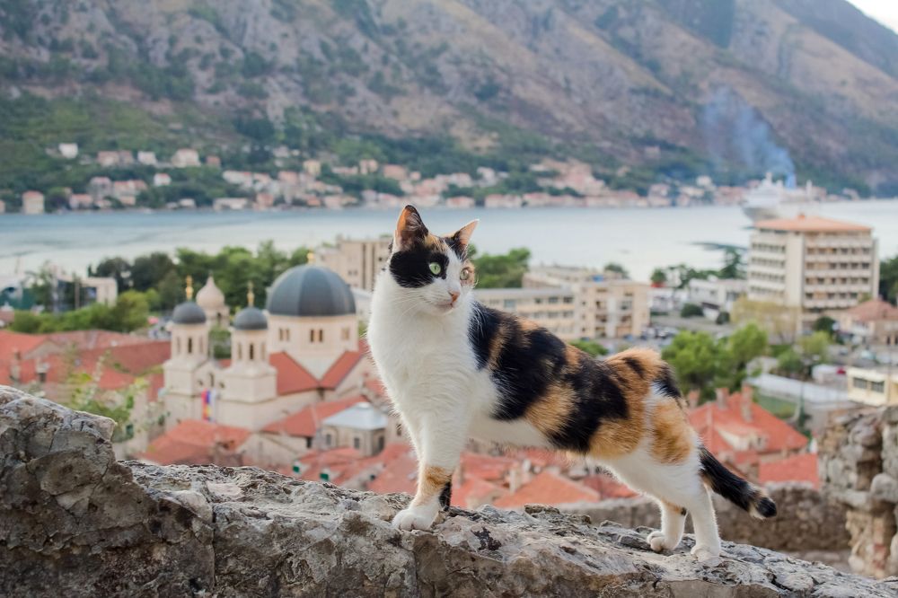 Photograph by Янина Малиновская