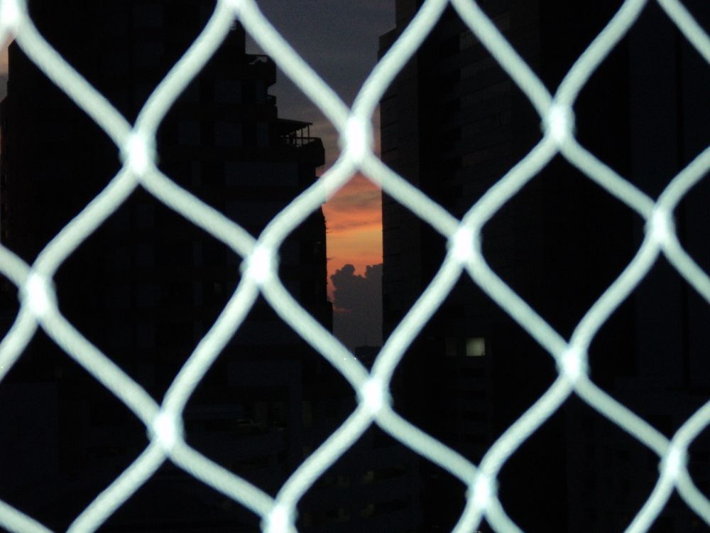 Photograph by Krittipong Thitithanakul