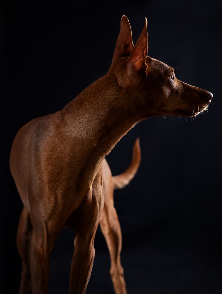 Photograph by Ольга Евграфова