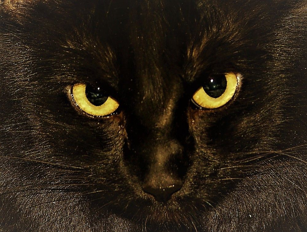 Фотография автора Владислава Андрюнина