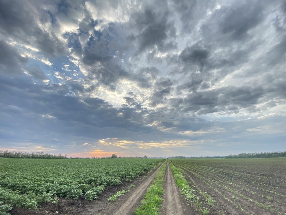 Photograph by Юлия Хлебодарова