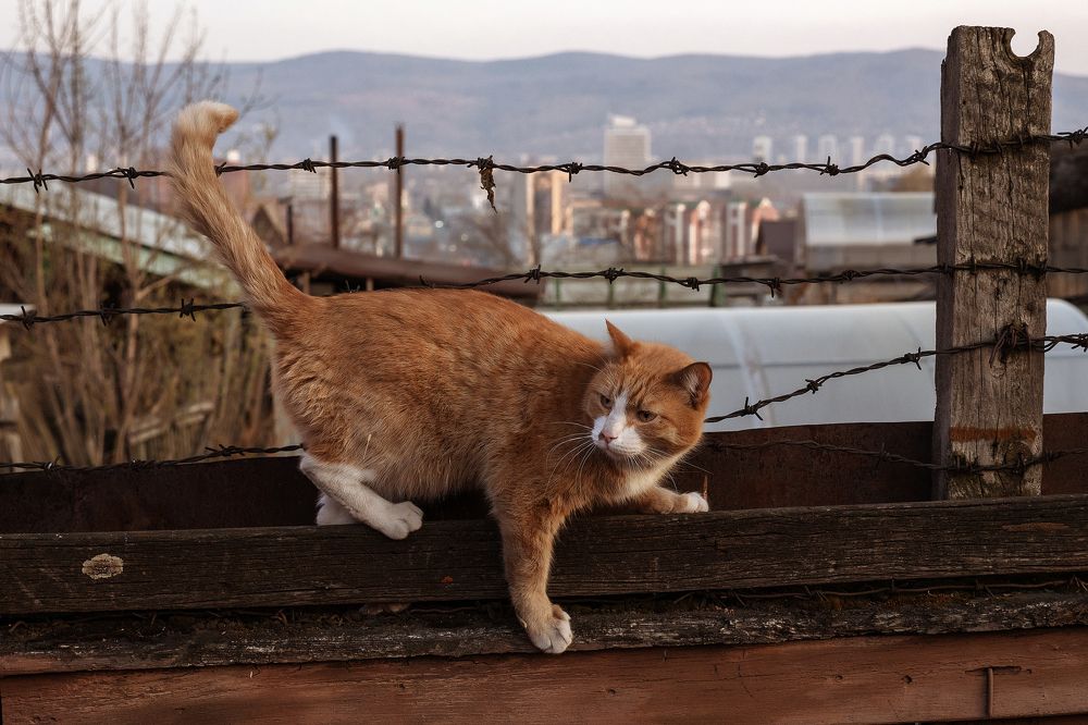 Photograph by Olga Rogozina